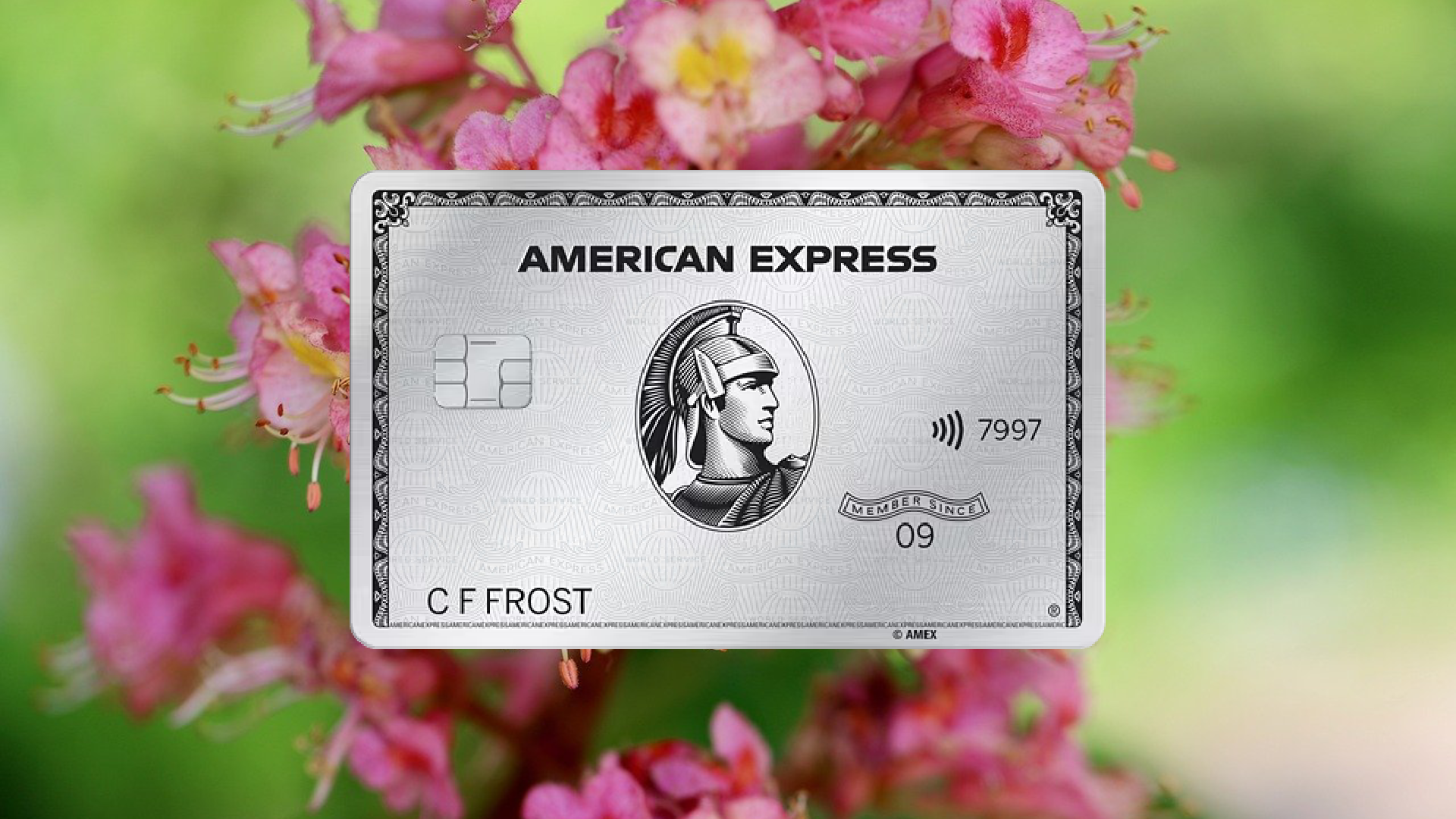 How to Apply for the American Express Platinum Credit Card Online